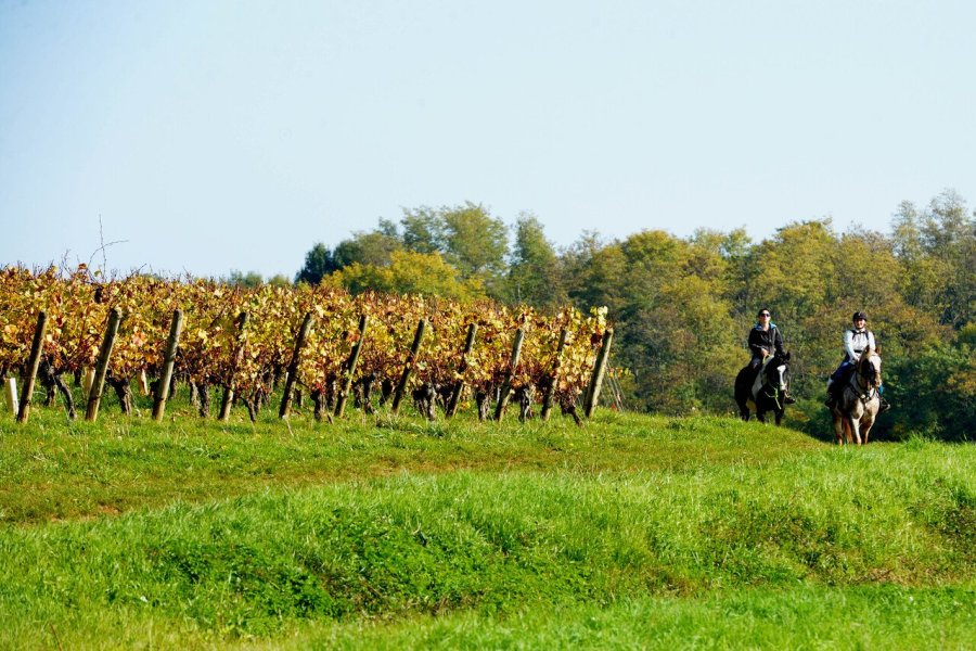 Randonnée : 40ème édition de la Tournuscimes en Saône-et-Loire
