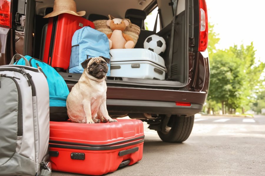 Vacances d'été : quel moyen de transport choisir ?