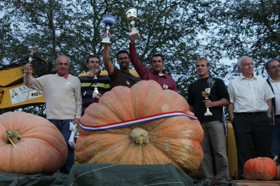 Incroyables Légumes, Concours National de Légumes Géants à La Roche-sur-Yon