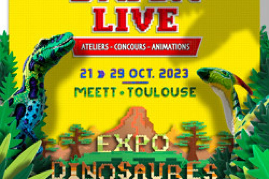 BRICKLIVE
