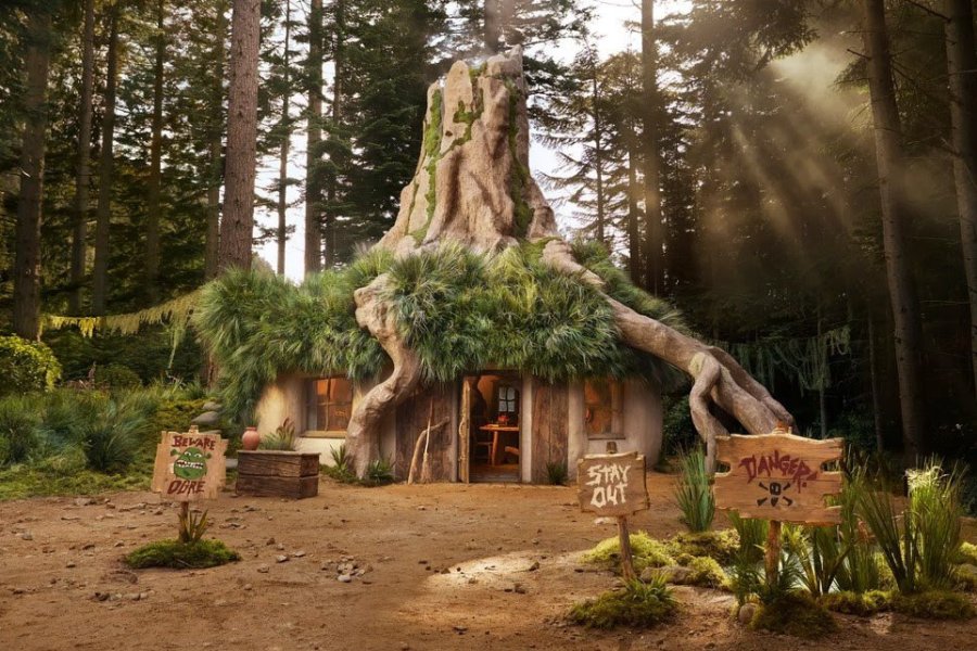 Airbnb propose de passer la nuit au coeur du Marais de Shrek