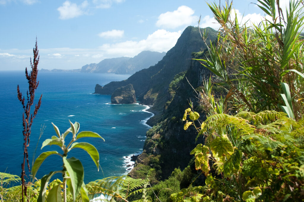 Vue de Madère