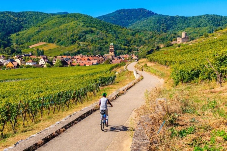 guide de voyage, Que faire en Alsace ? Les 17 incontournables à voir et à visiter - © Pawel Kazmierczak - Shutterstock