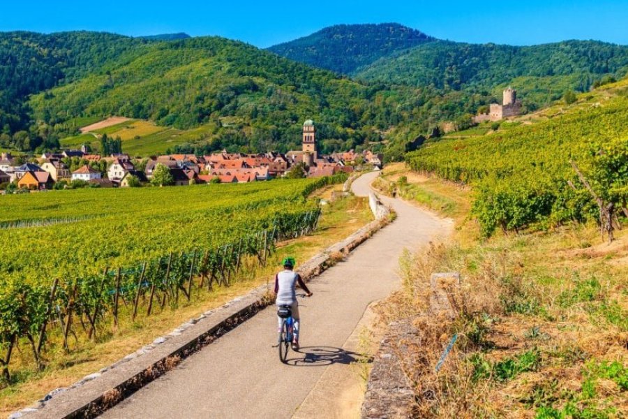 Que faire en Alsace ? Les 17 incontournables à voir et à visiter