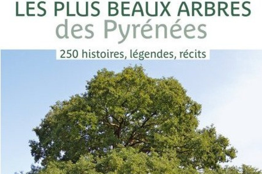 Conseil lecture : Francis Baro invite à devenir incollable sur les arbres des Pyrénées !