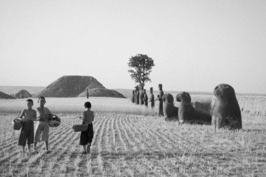 Ombres chinoises. Sous l'oeil des diplomates, nouvelle exposition au Château de Tours