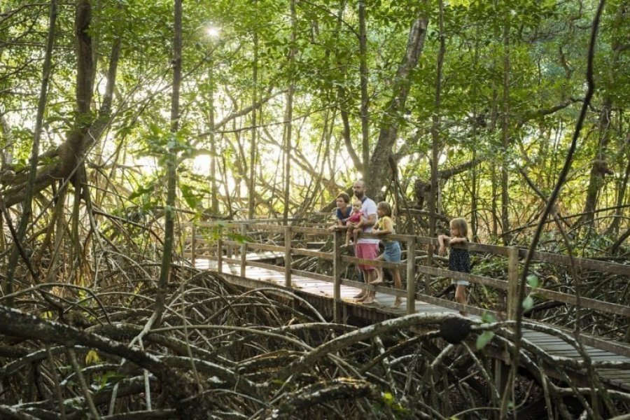 Les expériences uniques à vivre dans la nature en Guyane