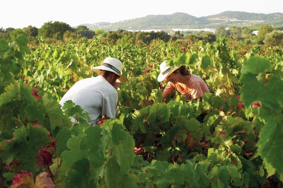 Calonge i Sant Antoni, coeur secret de la Costa Brava