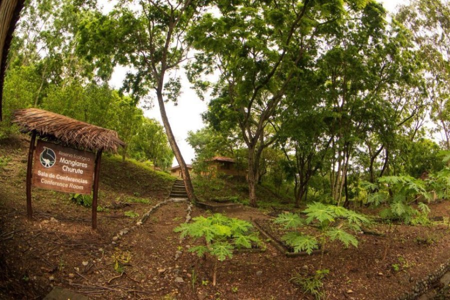 7 incontournables à découvrir dans la province de Guayas en Équateur !