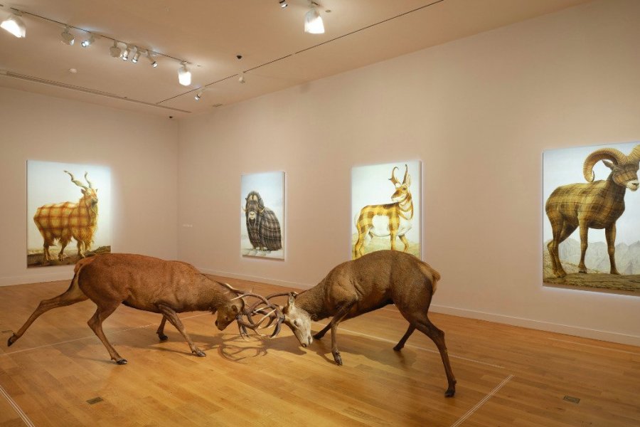 Le Musée de la Chasse et de la Nature ouvre ses portes à Sean Landers