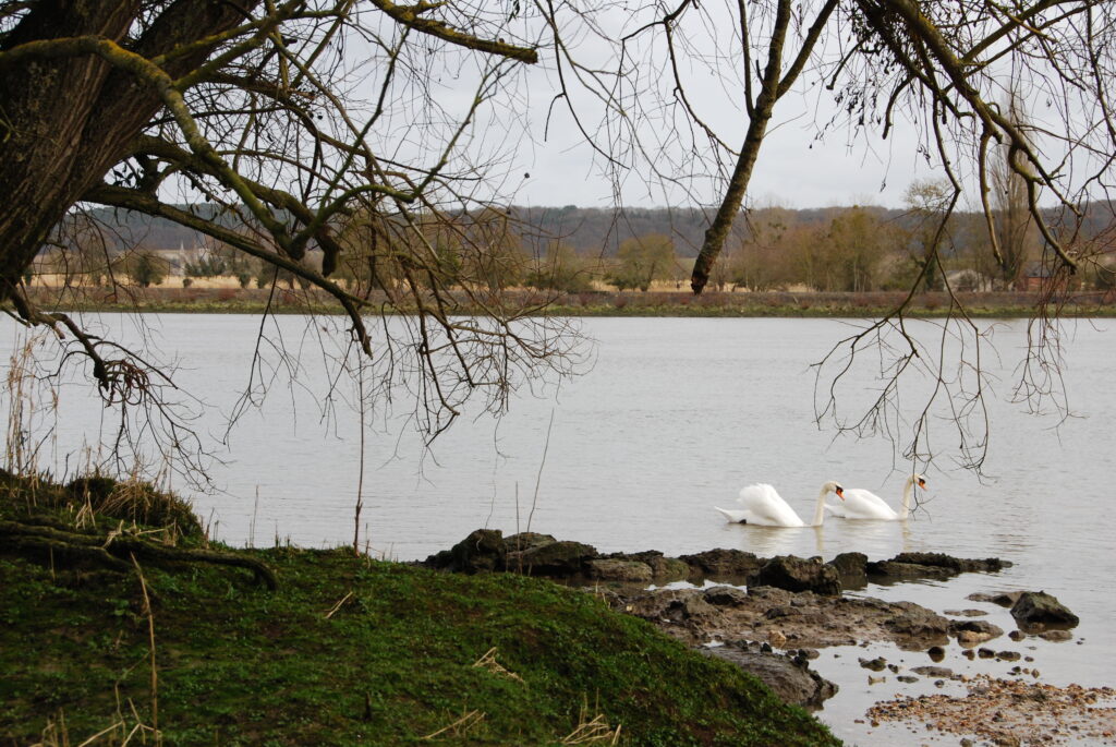 Parc naturel régional des Boucles de la Seine Normande