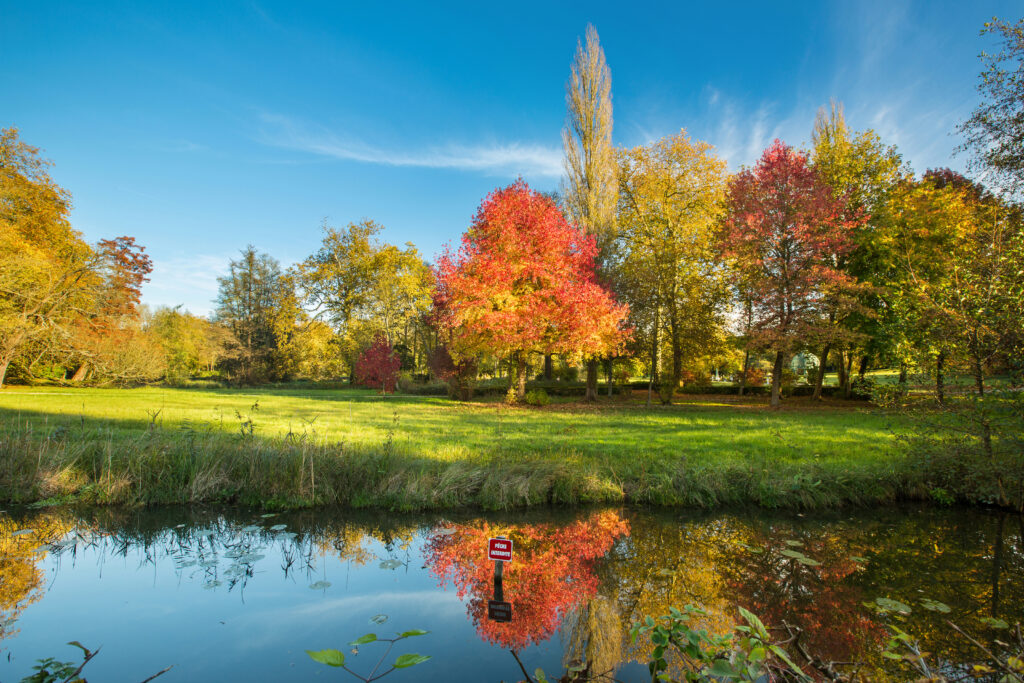 Nature, Chantilly