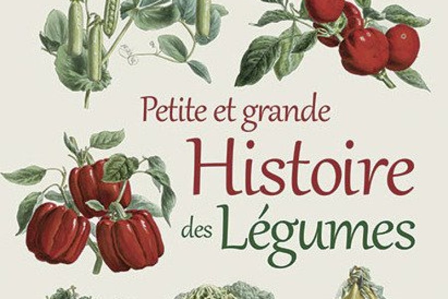 Conseil lecture : un beau-livre pour découvrir les légumes sous de multiples facettes