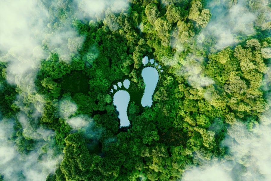 How and why calculate your carbon footprint?