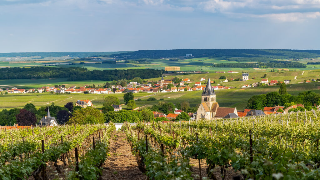 La Montagne de Reims, un incontournable