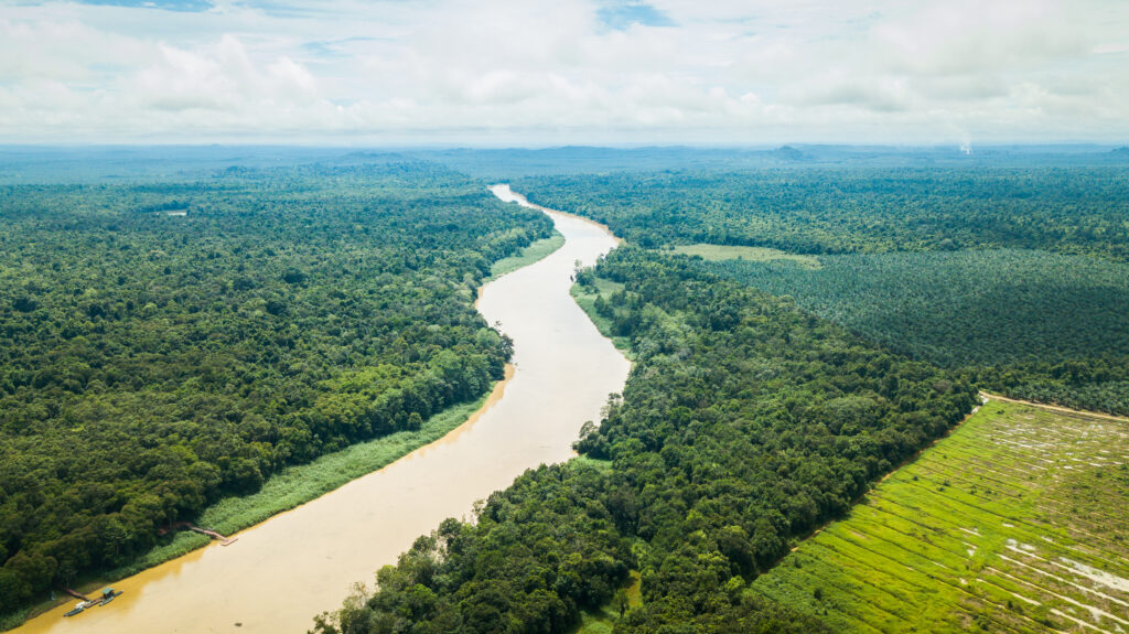 Vue de la rivière Kinabatangan 