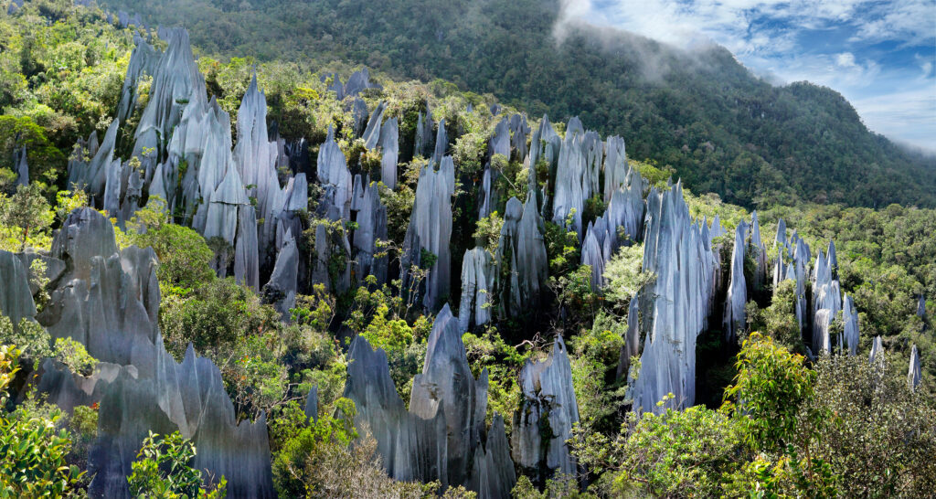 Le parc national de Gunung Mulu