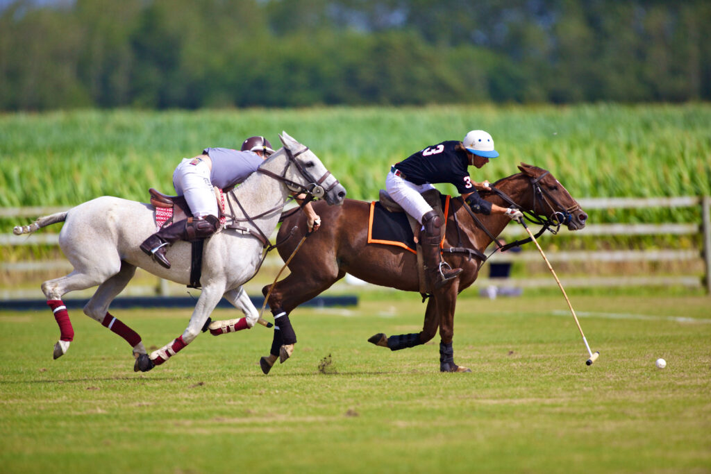 Joueur de polo à cheval