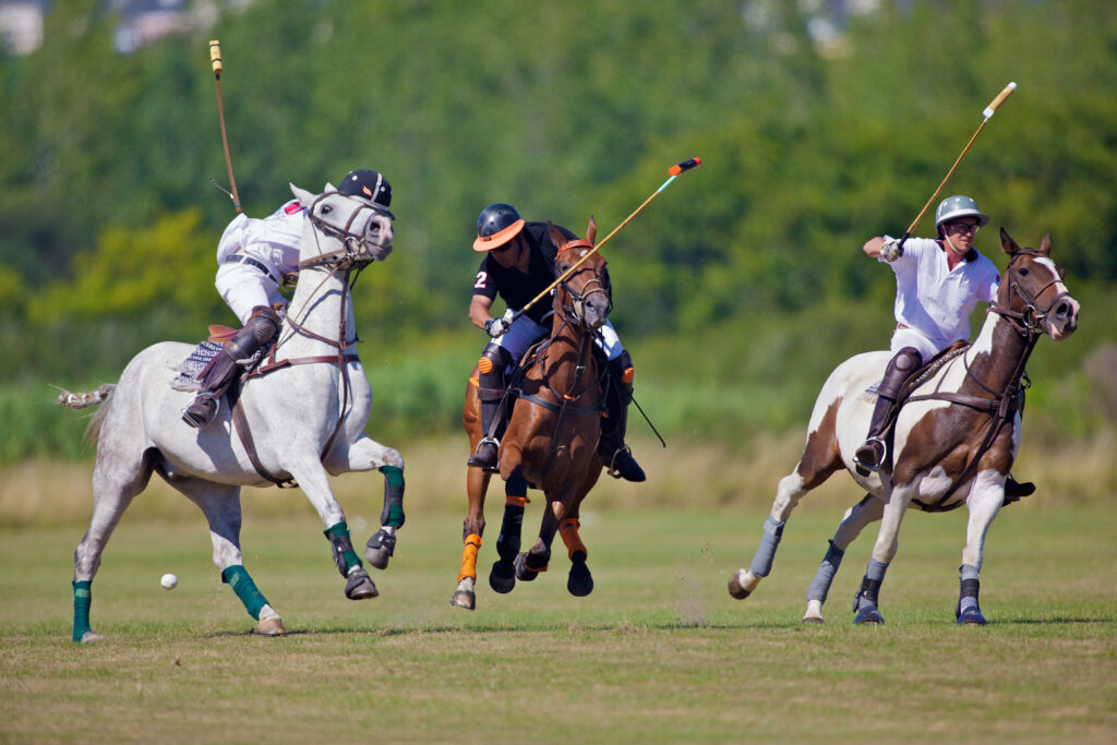 joueur de polo à cheval