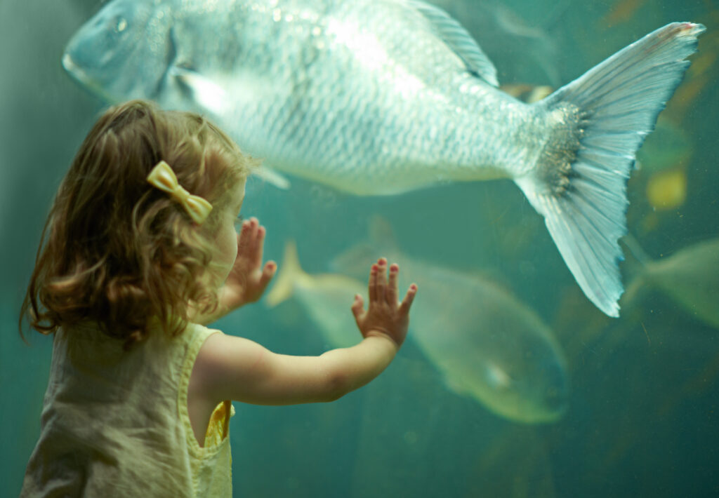 Petite fille à l'aquarium