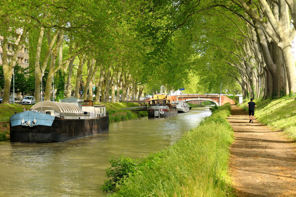 Le canal du Midi