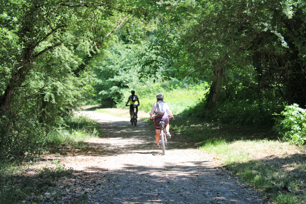 Chemin de randonnée à vélo dans le sud de la France