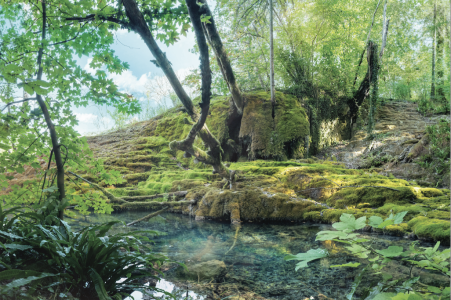 Le Parc national de forêts : trois bonnes raisons d'y partir en vacances en 2025