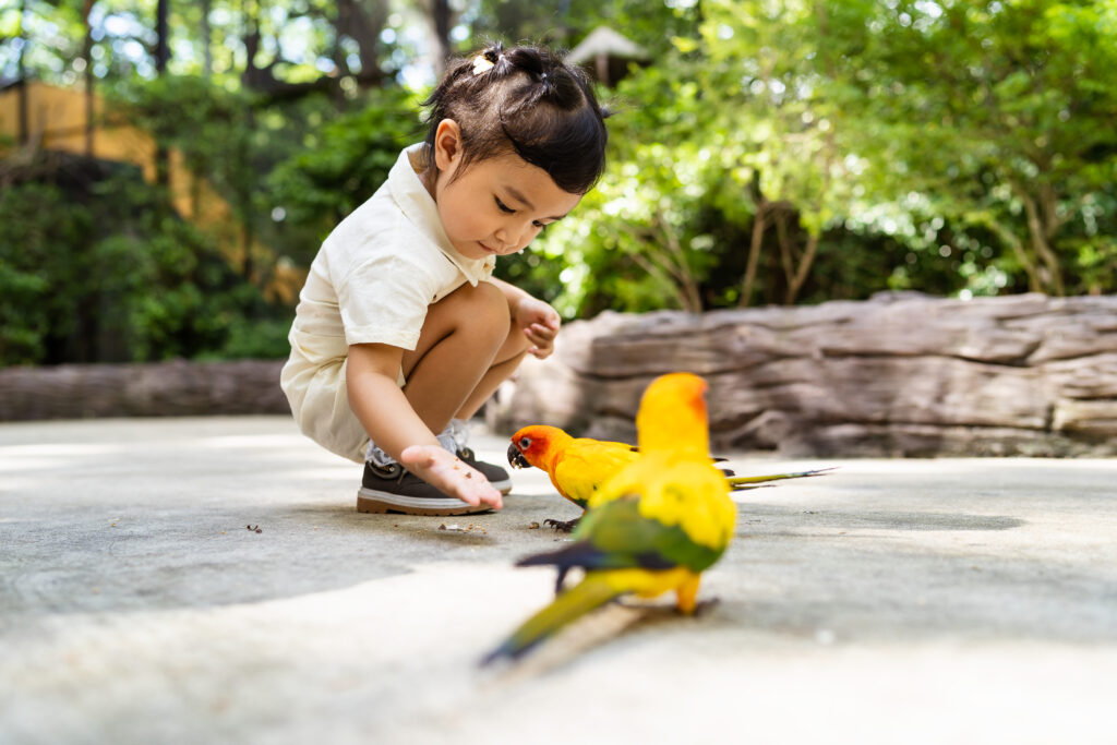 Petite fille au zoo