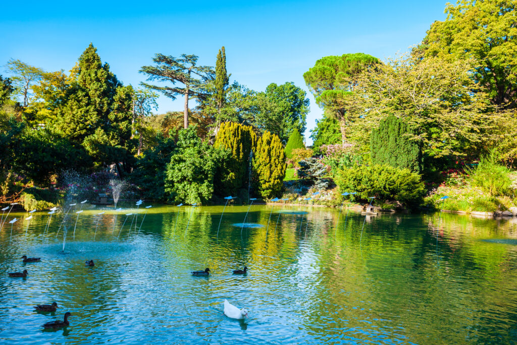 Jardin des plantes d'Angers