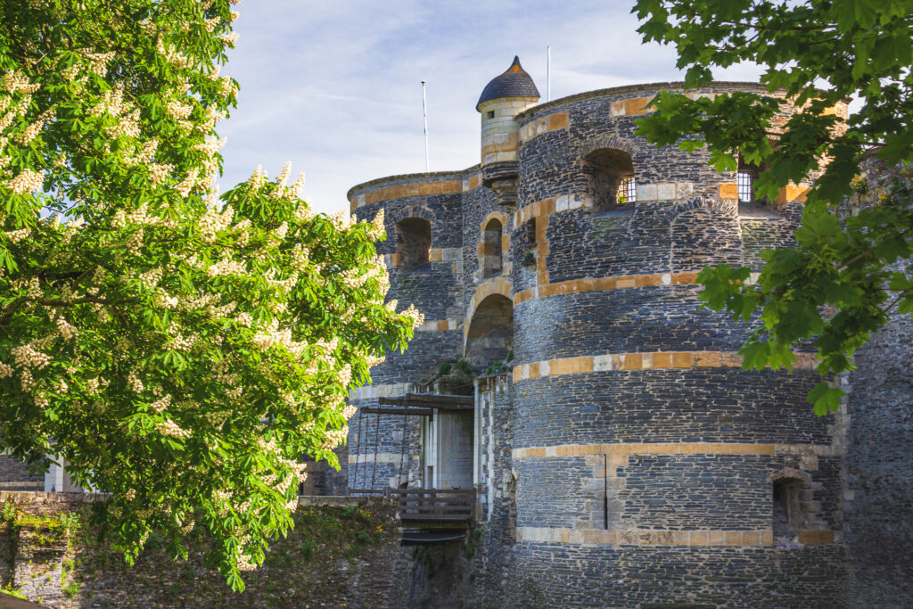 Centre ville historique d'Anger