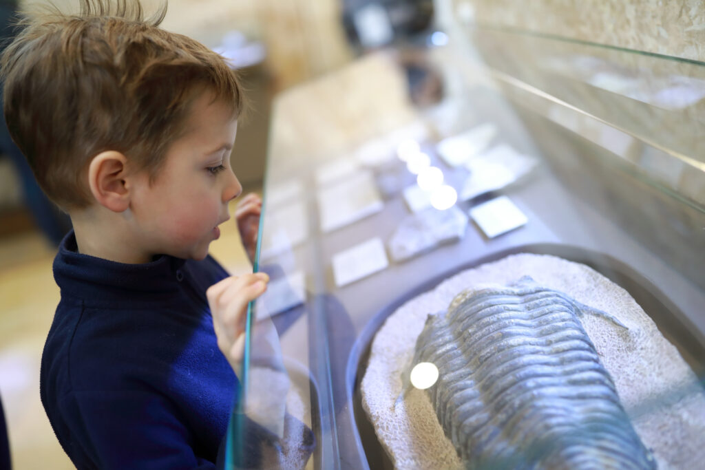 Enfant observant un fossile