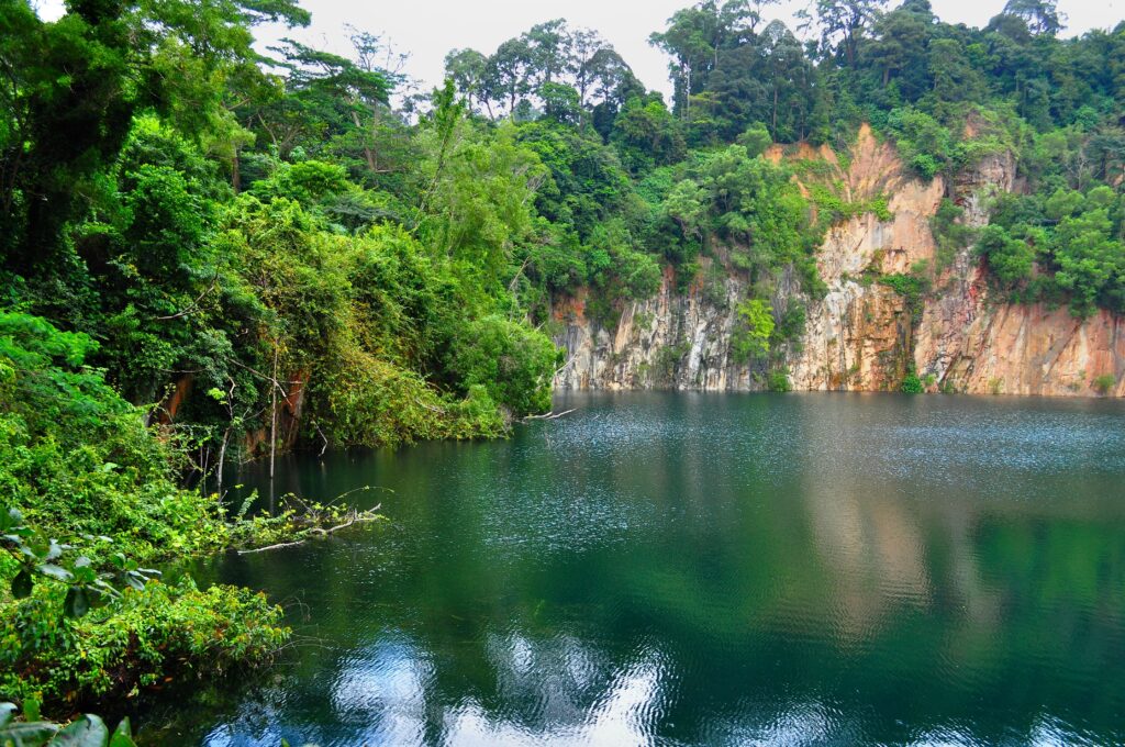 Réserve Naturelle de Bukit Timah