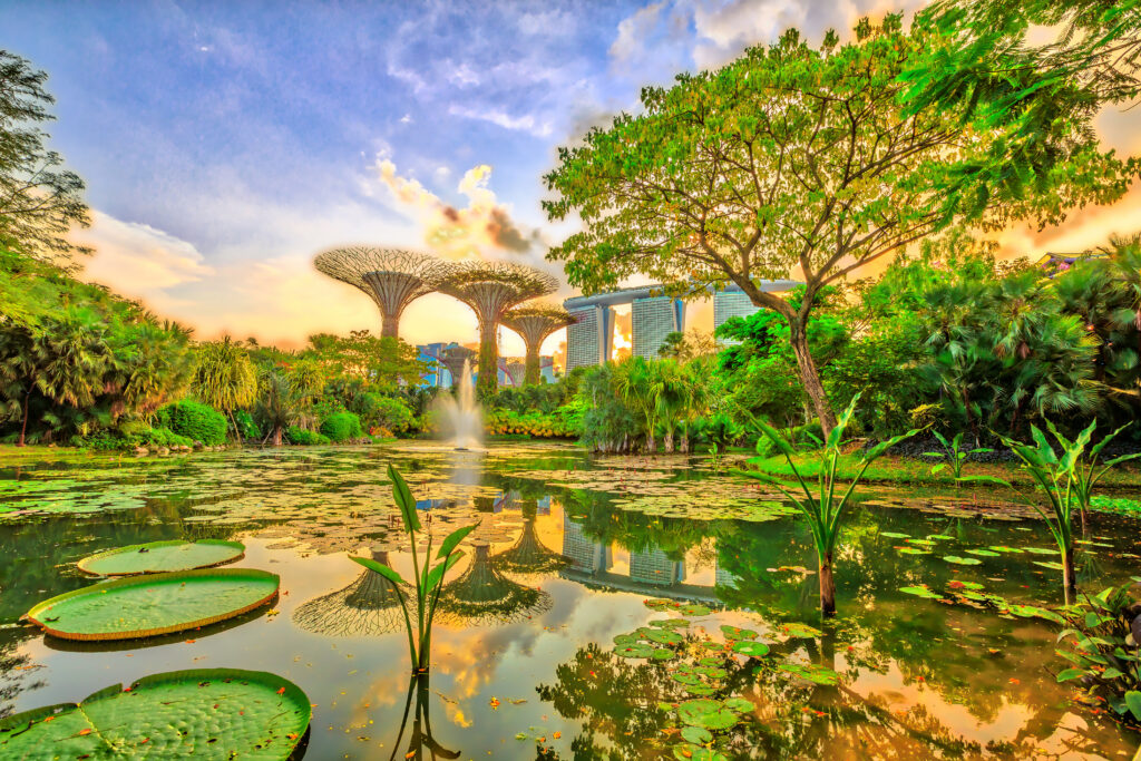 Gardens by the Bay