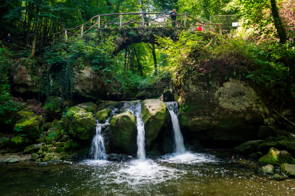 Mullerthal Trail