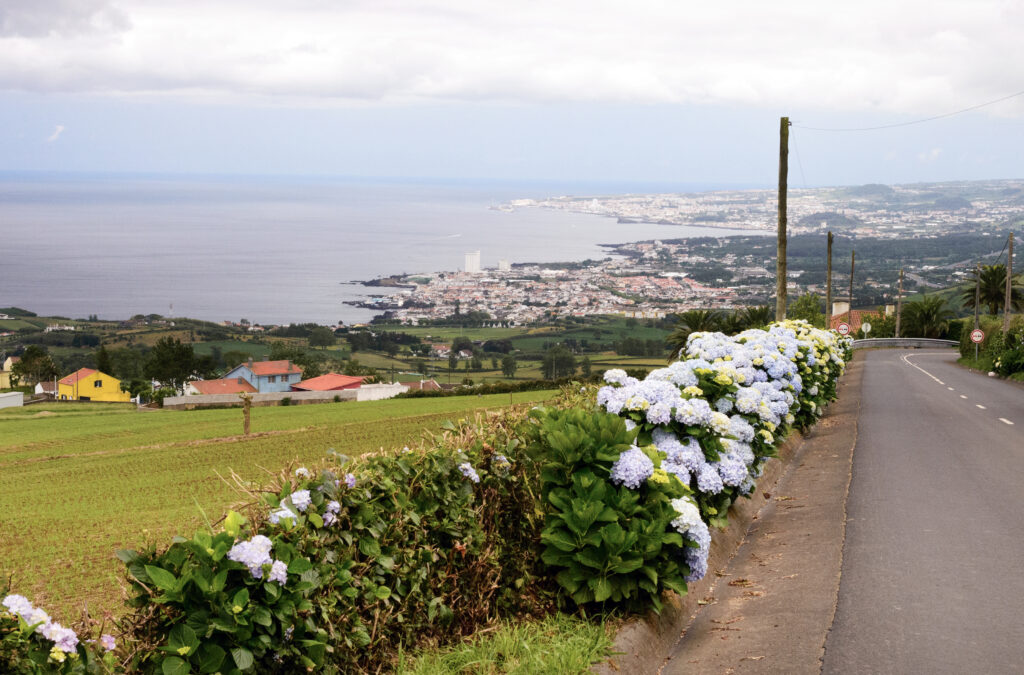 La route des Hortensias