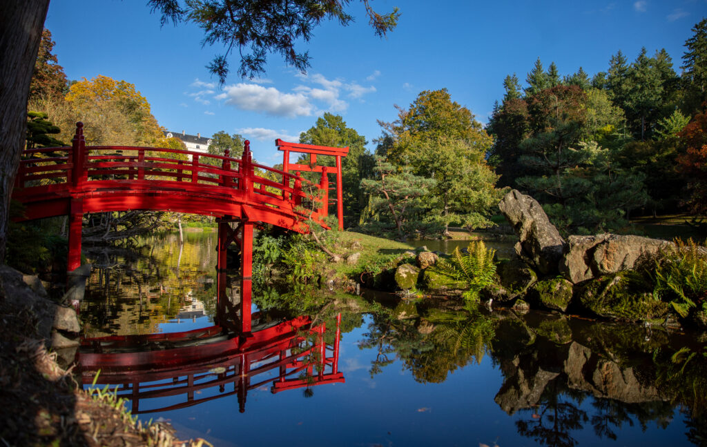 Parc oriental de Maulévrier en Anjou