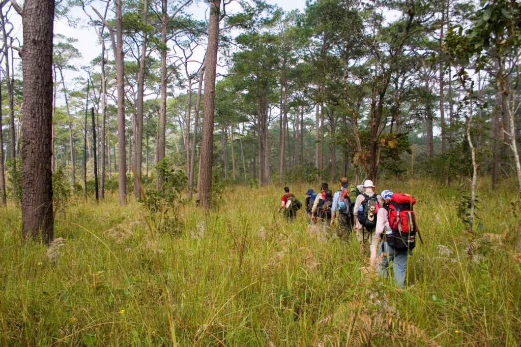 Trek dans les montagnes Cardamomes