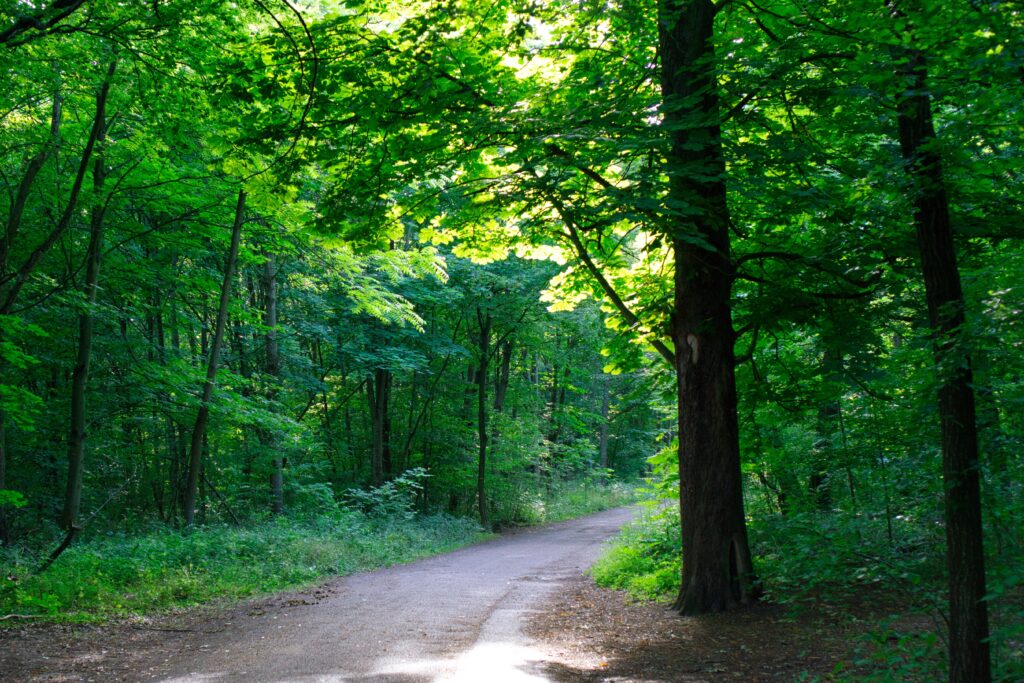 Bois de Vincennes 