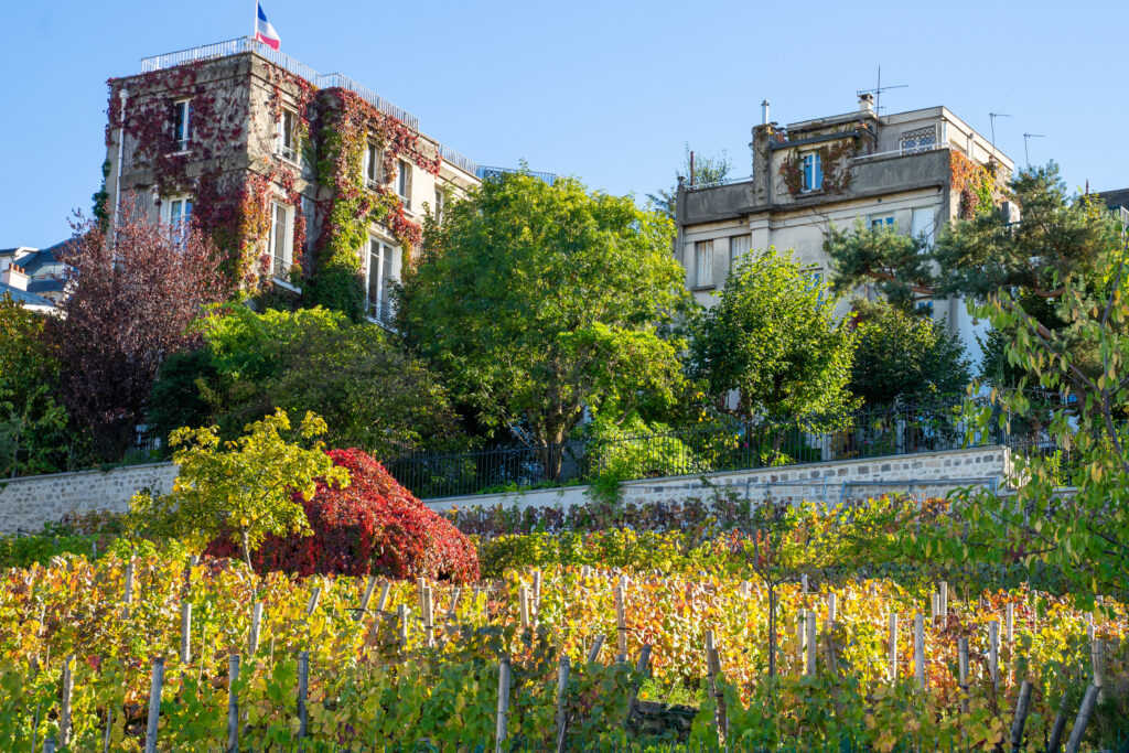 La butte Montmartre où courir dans le 18e arrondissement