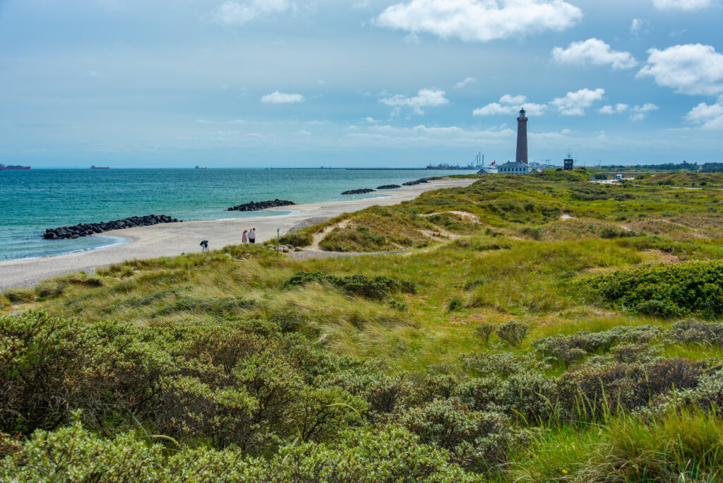 Pointe de Grenen