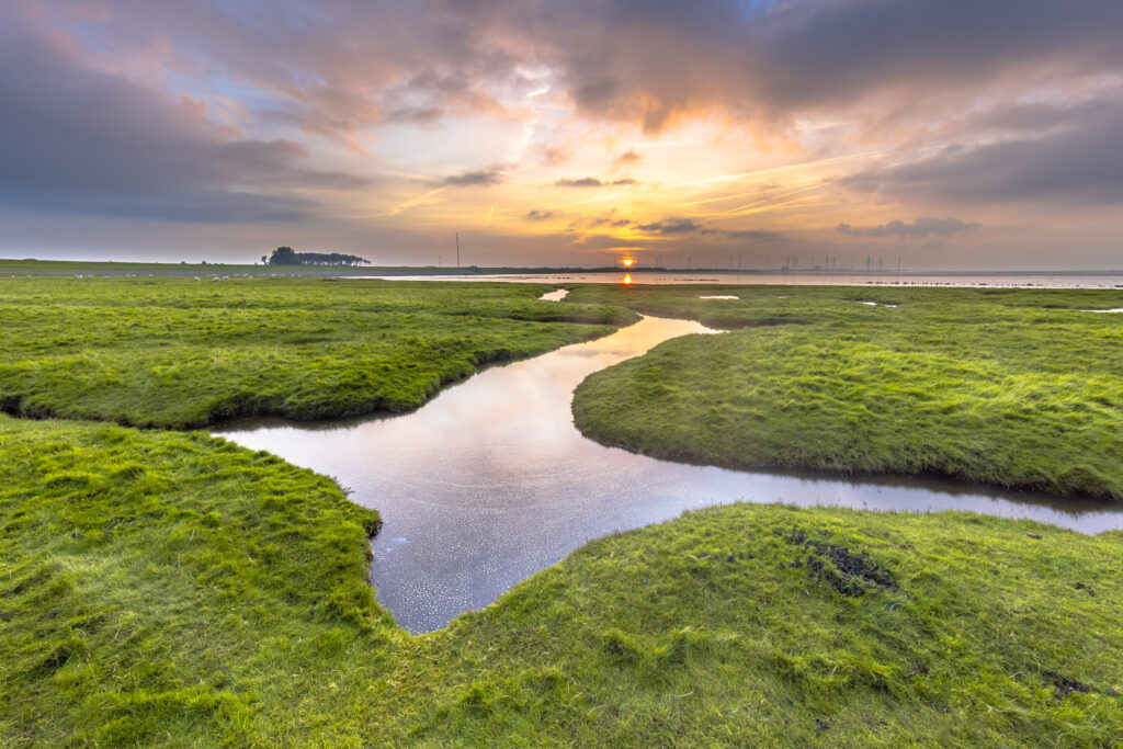 Le parc national de la mer des Wadden