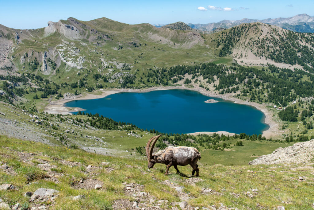 Le Lac d'Allos (Alpes-de-Haute-Provence)