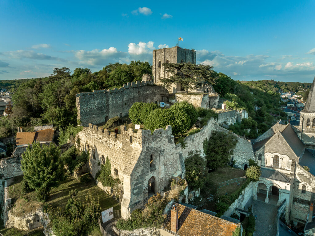 Château de Montrichard 