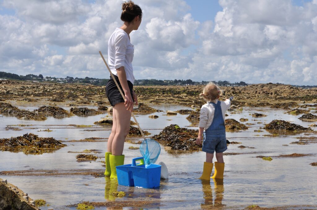 Pêche à marée basse