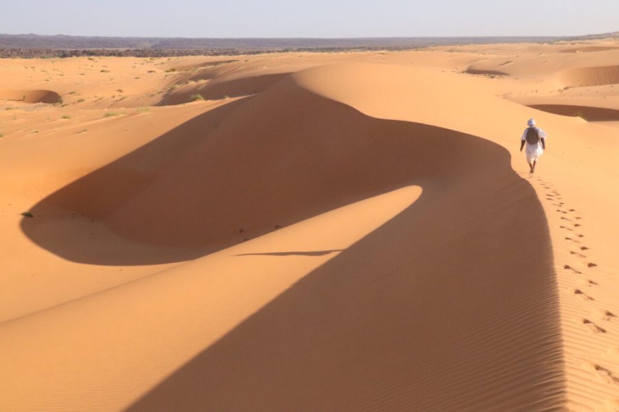 5 bonnes raisons de partir en voyage en Mauritanie en 2024 !