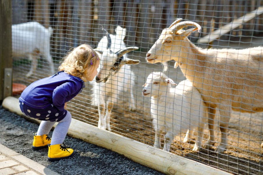 Consejos y trucos para organizar su jornada en el Parc Animalier Planète Sauvage