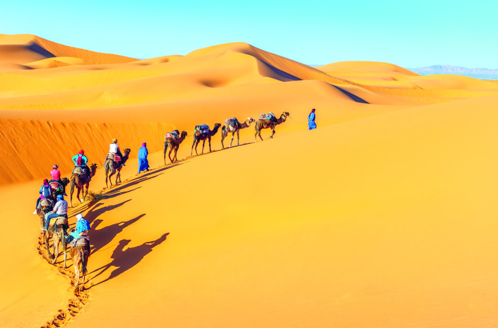 Caravane de chameaux.