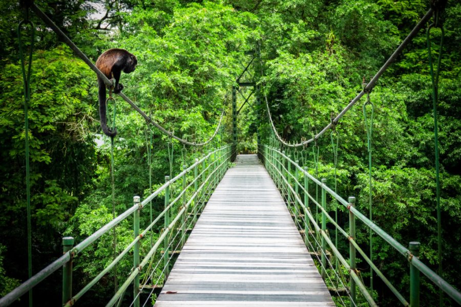 Where to go in February ? The best destinations in 2025