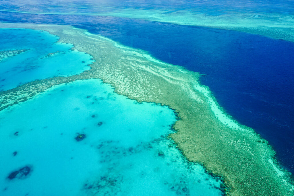 La grande barrière de corail en Australie