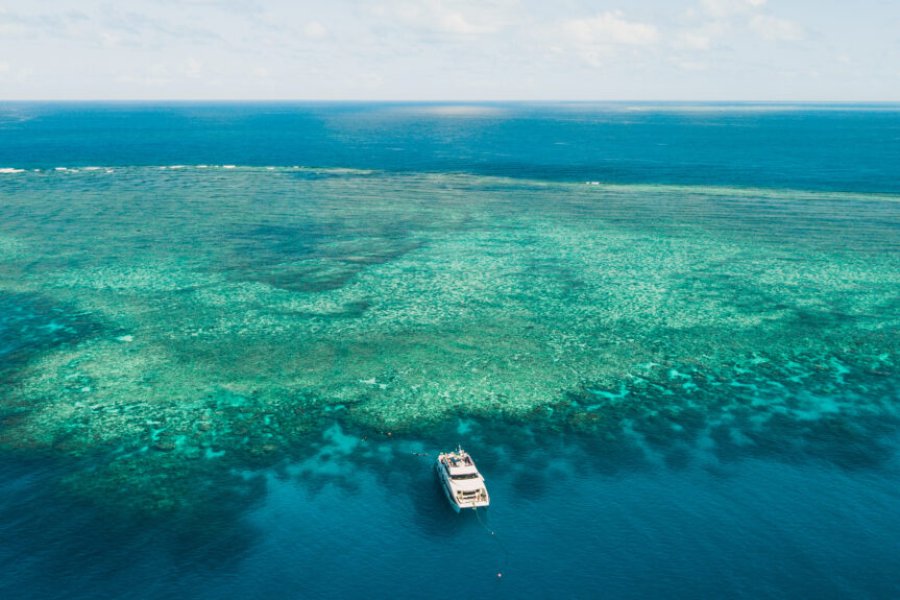 Wie kann man bei der Rettung des Great Barrier Reef in Australien helfen?